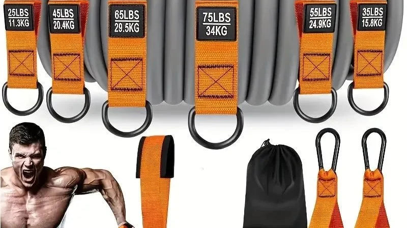 300lbs Resistance Band Set for Strength Training – Resistance Bands vs Dumbbells: What Should Beginners Buy First? | Zack Fitness