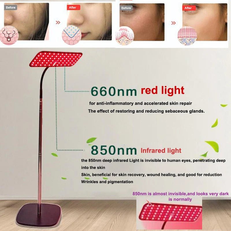 Red and near infrared light device positioned for muscle regeneration