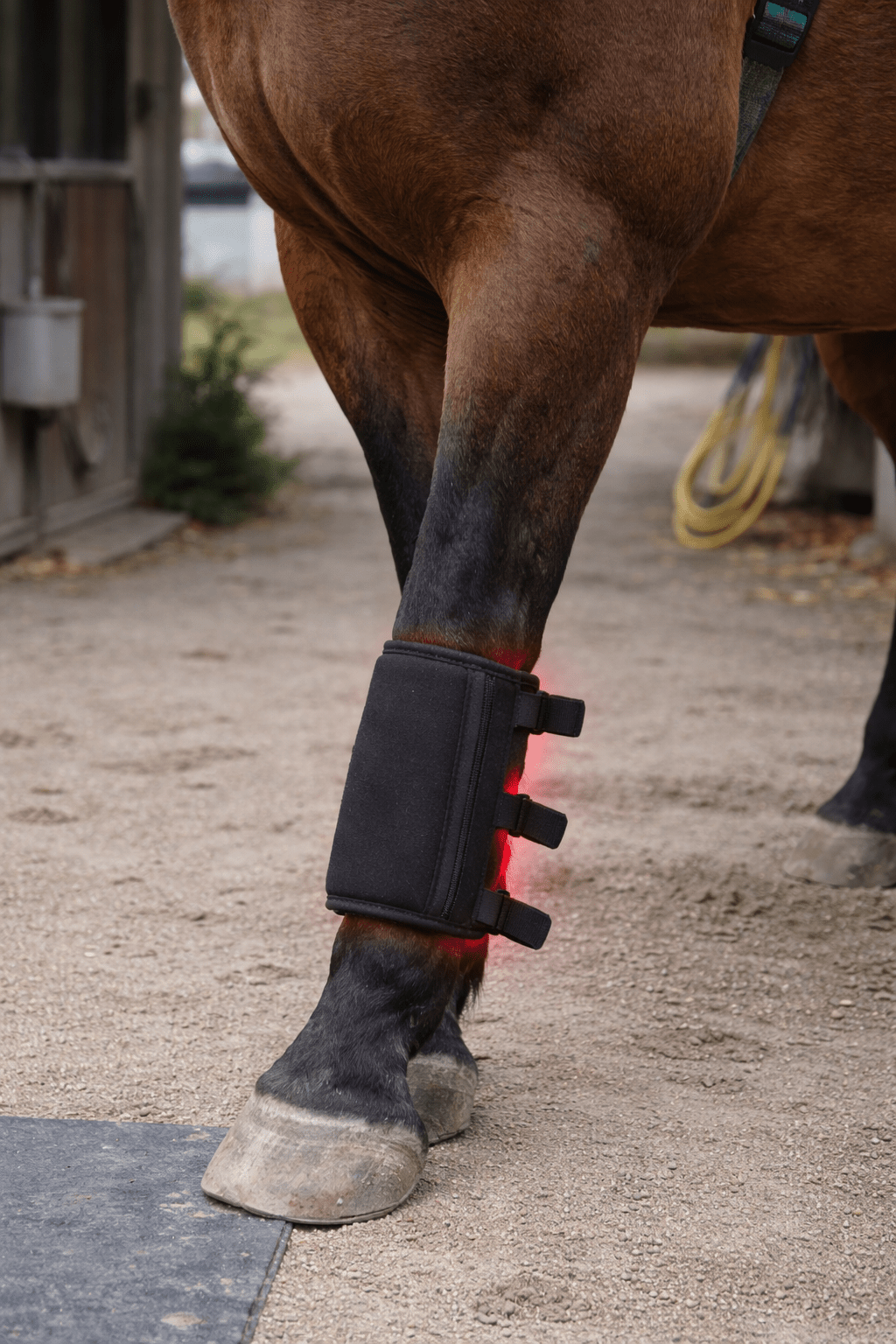 red light therapy pad for horses supporting movement and flexibility