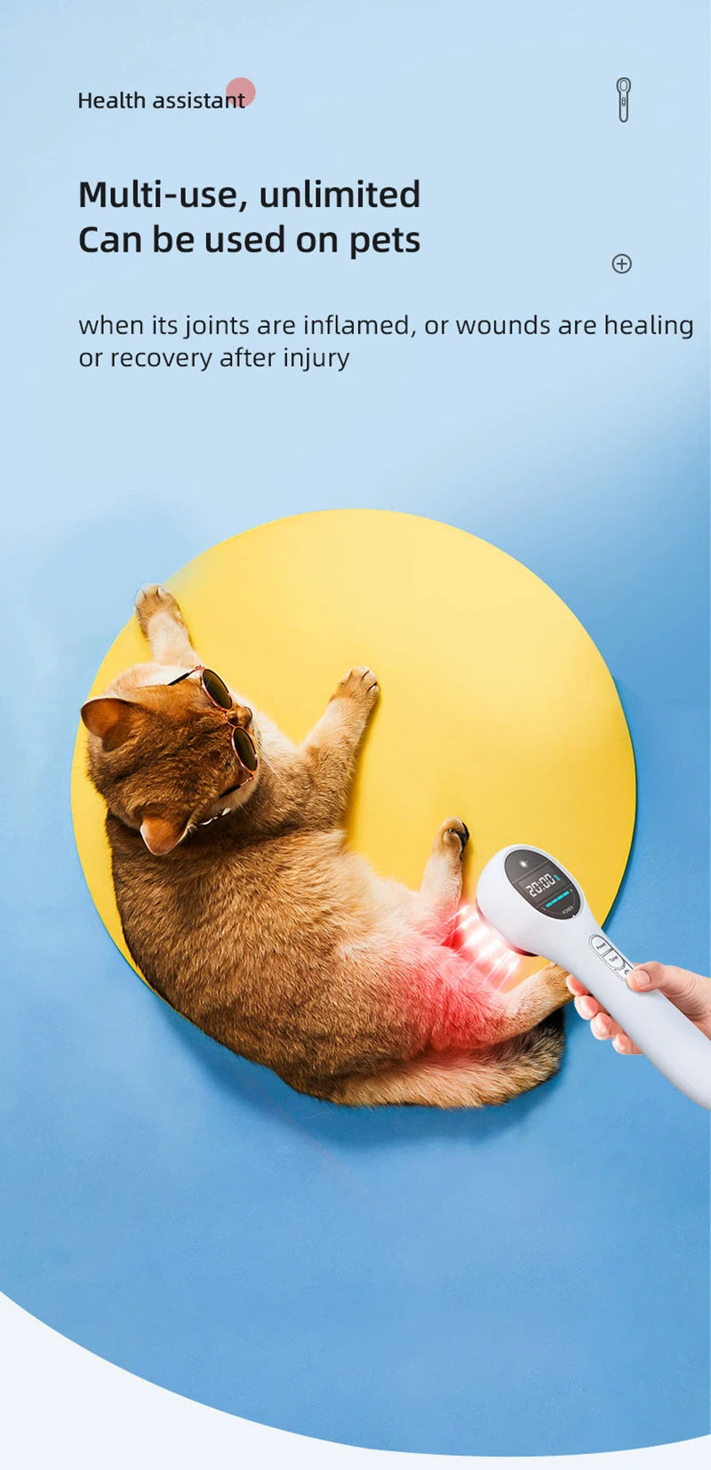 650nm & 808nm Red Light Therapy Laser Device – Pain & Recovery Tool - Zack Fitness
