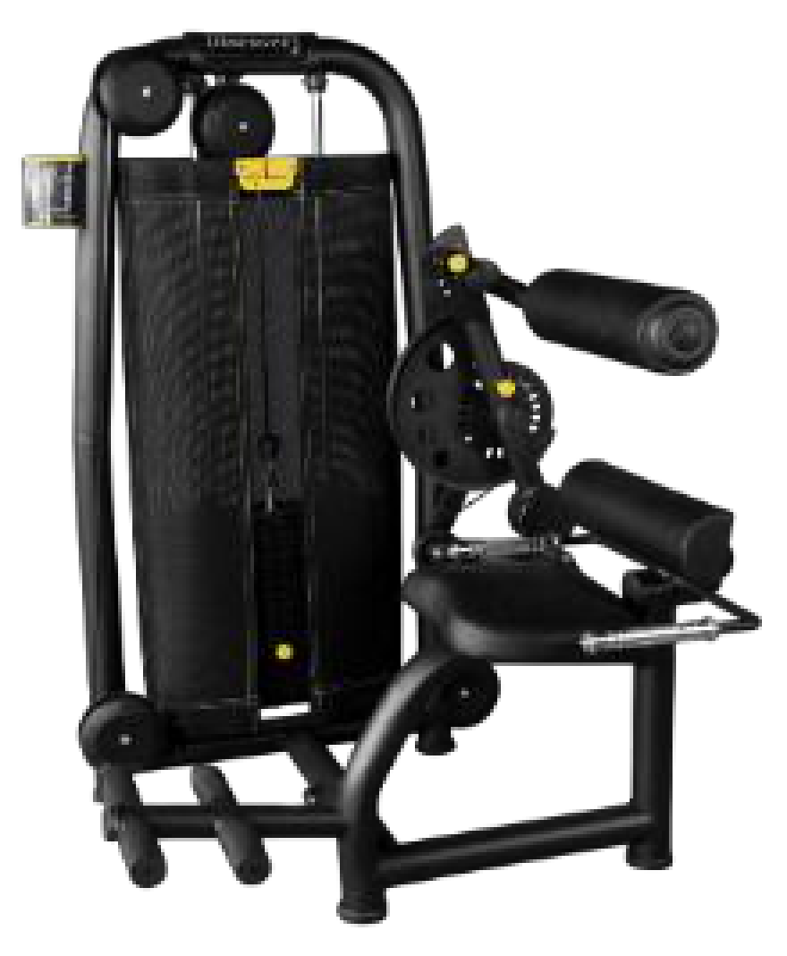 Discovery DC90-1 Abdominal & Lower Back Combo by ESCOOL, commercial gym equipment at Zack Fitness, manufacturer view 1
