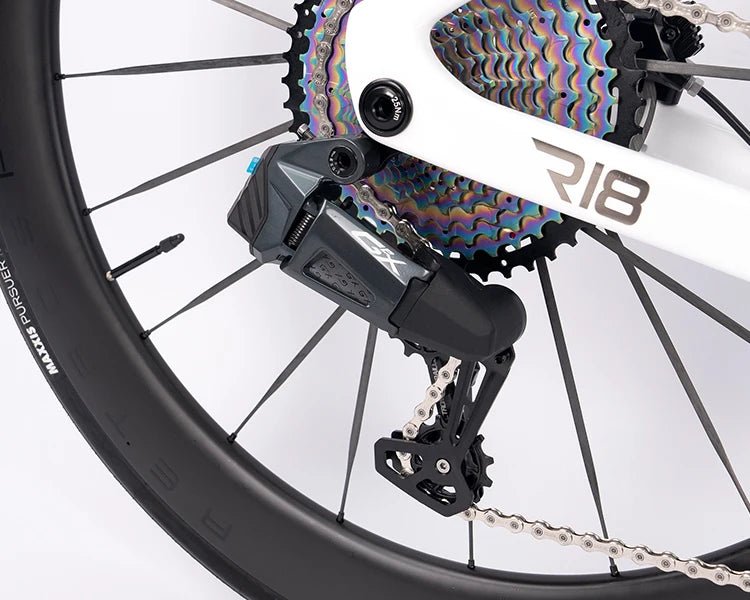 Carbon road racing bike brand presence and distribution across international markets