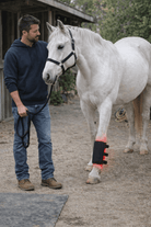 equine recovery pad using 660nm and 850nm light for targeted support