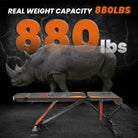heavy duty adjustable weight bench for strength training at home