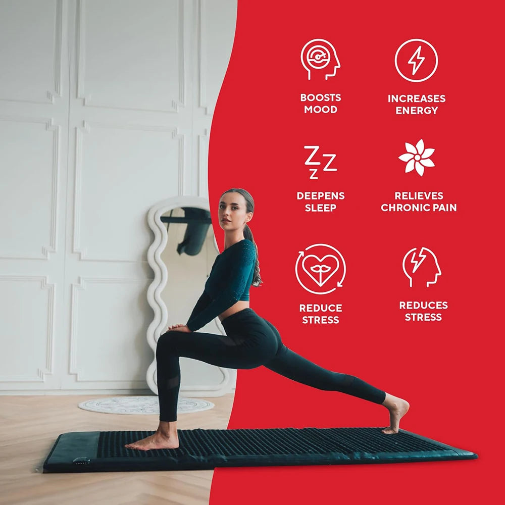 Electrode sheet included with the PEMF therapy mat for EMS/TENS use