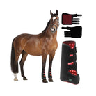 Red light therapy pad for horses used on back muscles for recovery support
