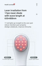650nm & 808nm Red Light Therapy Laser Device – Pain & Recovery Tool - Zack Fitness