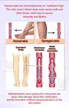 Generation 2 Intravenous Laser Therapy Device – Red Light for Circulation & Cellular Regeneration - Zack Fitness