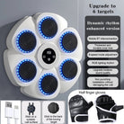 Accuracy-focused boxing device mounted on wall for reflex development.
