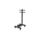 Discovery DB670 Single Twist by ESCOOL, standing torso-rotation station with handles and round platform, Zack Fitness