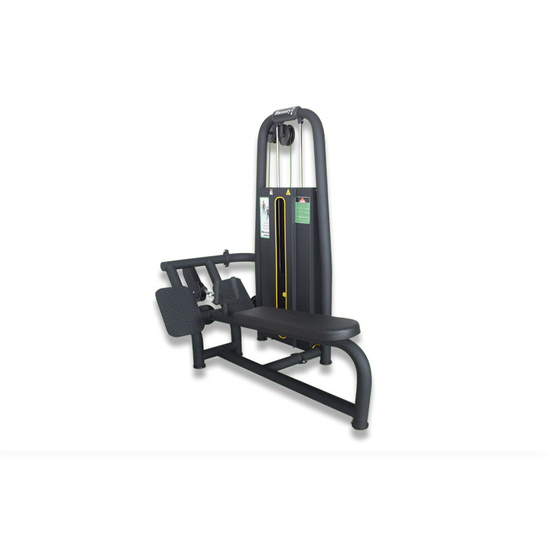 Discovery DC210 Rowing Machine by ESCOOL, commercial gym equipment at Zack Fitness, manufacturer view 1