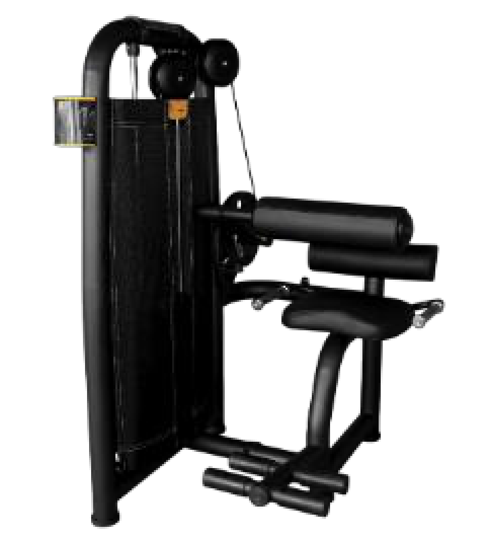 Discovery DC80 Lower Back Machine by ESCOOL, commercial gym equipment at Zack Fitness, manufacturer view 1