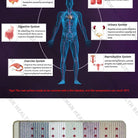 PEMF far infrared wellness mat used at home for calm, comfort, and recovery support
